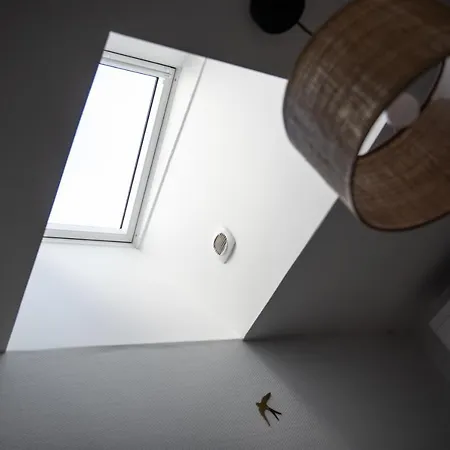 Appartement Sapio Angers