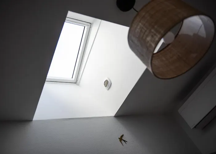 Apartment Sapio Angers