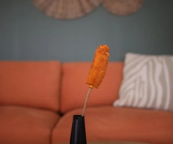 Appartamento Sapio Angers